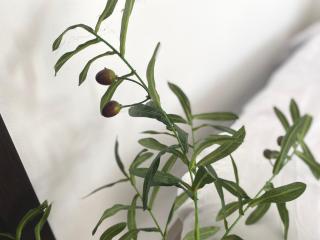 Daily Kost @Pontianak City Center - 3