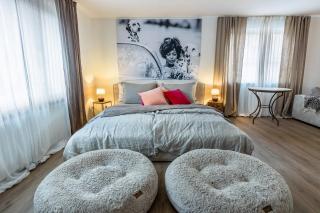 Seeapartment Höri - Gaienhofen - 6