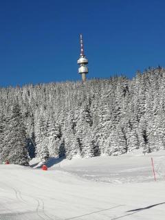 Апартамент за гости 4а26 Grand Monastery Пампорово - Pamporovo - 8