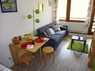 Studio 4 pers avec balcon sud, lave-vaisselle, pieds des pistes, proche commerces et services, 1800m alt. - FR-1-404-62 - La Mongie - 0