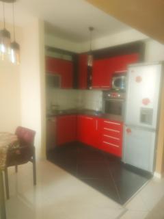 Hana's Luxury apartment - Skopje - 0