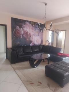 Hana's Luxury apartment - Skopje - 4