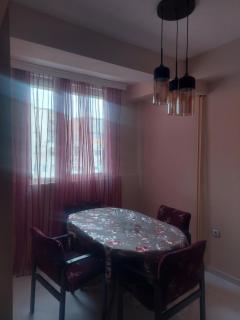 Hana's Luxury apartment - Skopje - 1