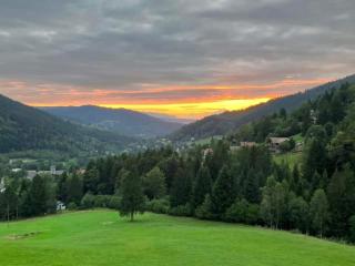 La Ferme du Panorama et Spa - Ventron - 8
