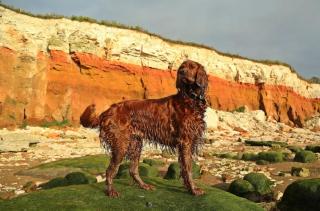 No 33 Apartment 4 - Hunstanton - 6