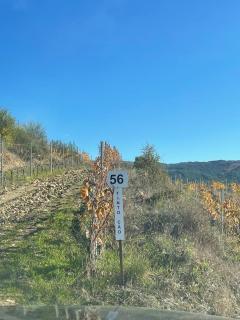 Quinta da Penada - Vineyard & Winery - Suíte 3 - 5