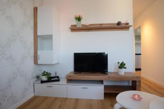 Central Elite Vista-with parking - Lubiana - 3