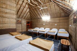 Hampi Social Resort - Hampi - 9