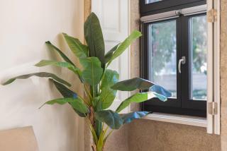 Cosy House Downtown Porto with swimming pool and AC - Oporto - 3