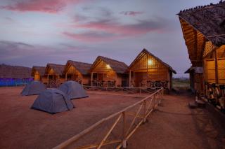 Hampi Social Resort - Hampi - 4