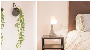 El Rincón de la Catedral - 2