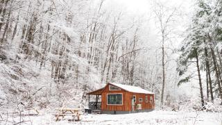 Willow Field Cabin - - 0