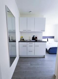 Urban Oasis with Queen Bed and View BE-38 - Zurigo - 7