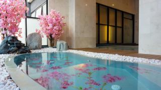 The Yanné, Onsen Hotel - 5