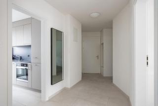 Grand Terrace Suite Elite 4,5BR BA52 - Zurich - 4