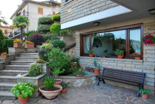 B&B Le Palme - Bassano Romano - 7
