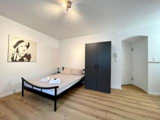 Heart of Zurich Modern Studio HG14 - Zurigo - 9