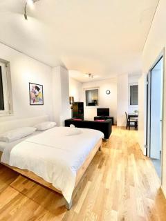 Zurich City Dream Studio SH04L - Zurich - 3