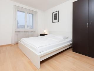 Luxury Sunrise Terrace, 4,5 Rooms FR-22 - Wallisellen - 9