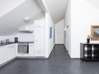 Sunrise Terrace 2,5 Room Apartment FR-31 - Wallisellen - 7