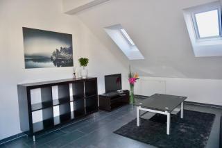 Sunrise Terrace 2,5 Room Apartment FR-31 - Wallisellen - 5