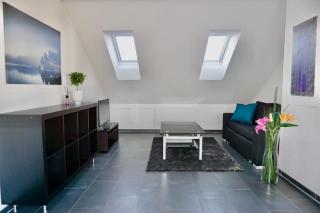 Sunrise Terrace 2,5 Room Apartment FR-31 - Wallisellen - 1