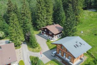 Chalet Spatz Loft Kandersteg Oeschinen Lake - Kandersteg - 4