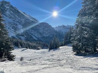 Bijou Spatz TWO near Oeschinen Lake - Kandersteg - 4
