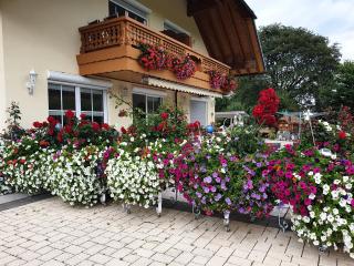 Appartement Rehblick - Eisenbach - 3