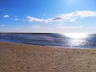 L'Oasis - T2 avec jardin - Piscine - Clim - Parking & Plage à 200m - 3