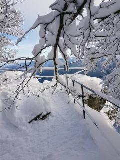 Chalet PRALIN - Gérardmer - 2