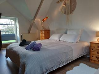 La maison au cœur de la forêt - Rosporden - 7
