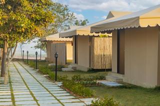 Sterling ReWild Sariska - Tehla - 9