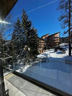 BANOVANI Bakuriani - 5