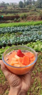 Yuva Yatri Campsite - 3