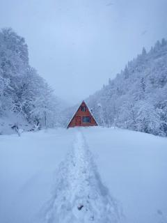 Mountain House - Bungalow - Cayeli - 9