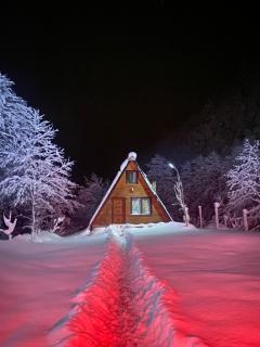 Mountain House - Bungalow - Cayeli - 7