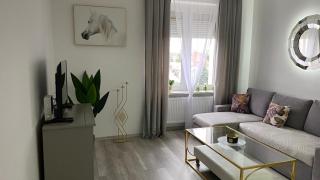 Apartament Gdańska 230 - Bydgoszcz - 8