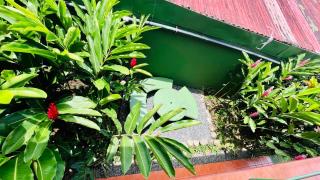 Hostal Nuevo Arenal downtown, private rooms with bathroom - Nuevo Arenal - 9