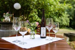 Weingut Haus Steinbach - 1