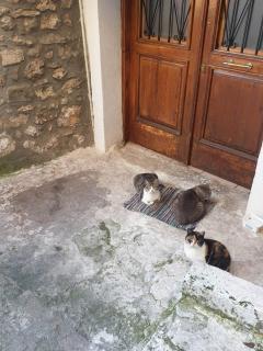 Ζεστή Φωλιά - Arachova - 9