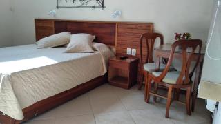 Hotel Dominguez Plaza - Nova Friburgo - 7