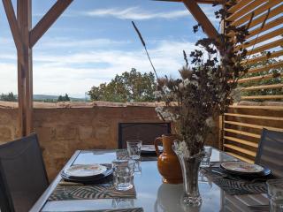 Le grand chêne vert - Bagnols-sur-Cèze - 4