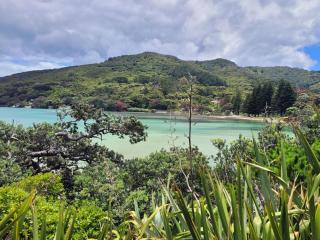 The Bay Cottage - Located Directly Across the Road from 2 Swimming Beaches - Great Barrier Island - 5