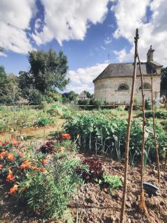 Château de Luzières - 3