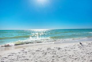 Shores of Panama 1429 - Panama City Beach - 8