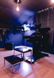 Erwachsenenhotel BDSM Apartment Hotel Emotion Apartments mit privater Sauna - Vlotho - 6