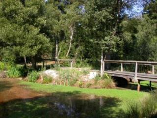 T0 da Casa da Quinta S José - 5