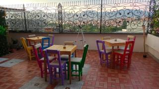 La iguana café y más - 1