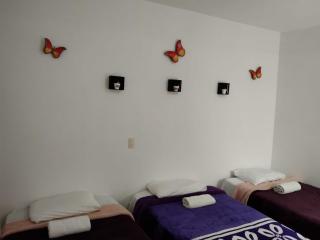 Las mariposas 5 - San Cristóbal de Las Casas - 7